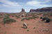 Lone sheep on open range Monument Valley UT. © Photo Courtesy of Lyle McNeal